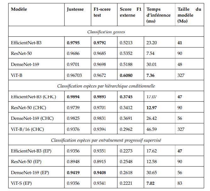 Comparaison des meilleures configurations de chaque classification et de chaque méthode : classification hiérarchique conditionnelle (CHC) vs entraînement progressif (EP).