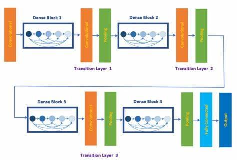 Architecture du modèle DenseNet 201