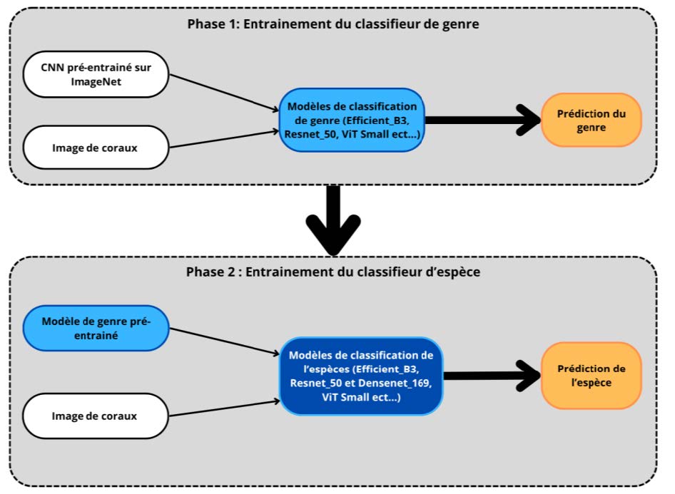 Pipeline de la méthode de classification à entraînement progressif